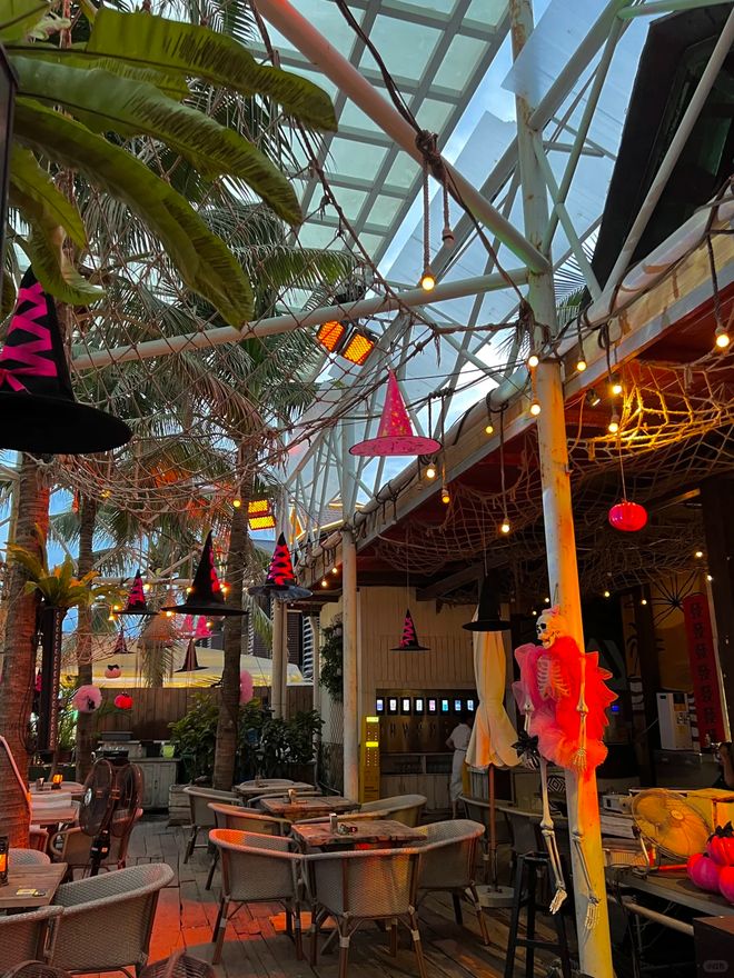 游全攻略：冬季避寒5天4晚小众路线不朽情缘试玩网站2025旅行三亚旅